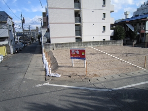 01.bmp